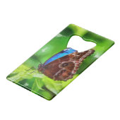 Peinture à papillon (Dos Angle)