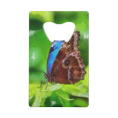 Peinture à papillon (Dos)