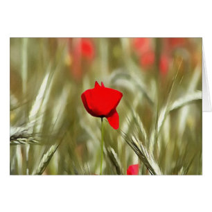Peinture acrylique Hot Poppy