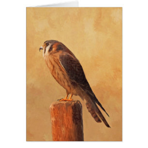 Peinture américaine Kestrel - Art original pour oi