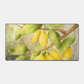 Peinture au citron (Recto)