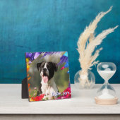 Peinture colorée Brosse cadre photo Plaque (Insitu)