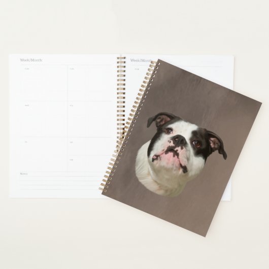 Peinture couleur d'eau Bulldog (Devant avec enveloppe)