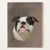 Peinture couleur d'eau Bulldog (Dos)