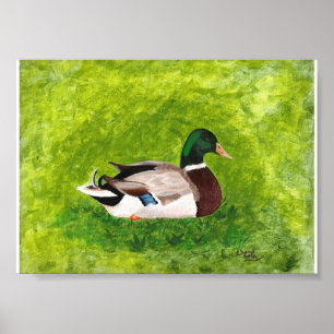 Peinture de canard à Majard assis sur des affiches