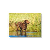 Peinture de canevas de chasse de chien de Chesapea