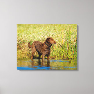 Peinture de canevas de chasse de chien de Chesapea