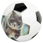 Peinture de chat (3/4)