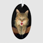 Peinture de chat Mad - Cute Original Cat Art (devant)