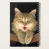 Peinture de chat Mad - Cute Original Cat Art (Dos)
