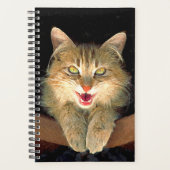 Peinture de chat Mad - Cute Original Cat Art (Devant)