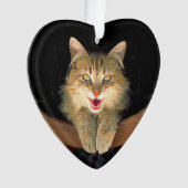 Peinture de chat Mad - Cute Original Cat Art (devant)