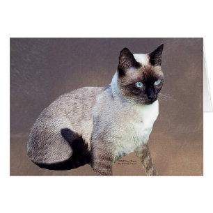 Peinture de chats siamois