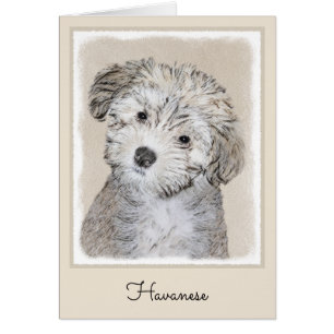 Peinture de Chien Havanais - Cute Original Chien A