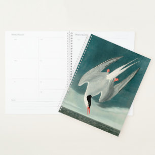Peinture de faune d'oiseau de sterne arctique Audu