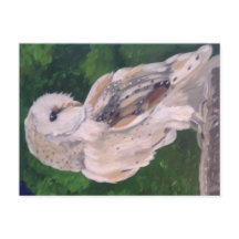 Peinture de hibou sur carte postale