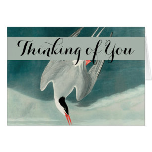 Peinture de la faune de la sterne de l'Arctique Au