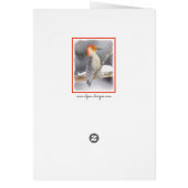 Peinture de pic à ventre rouge Art original (Dos)