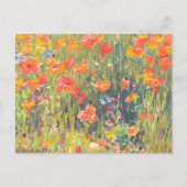 Peinture de Poppies Carte postale (Devant)