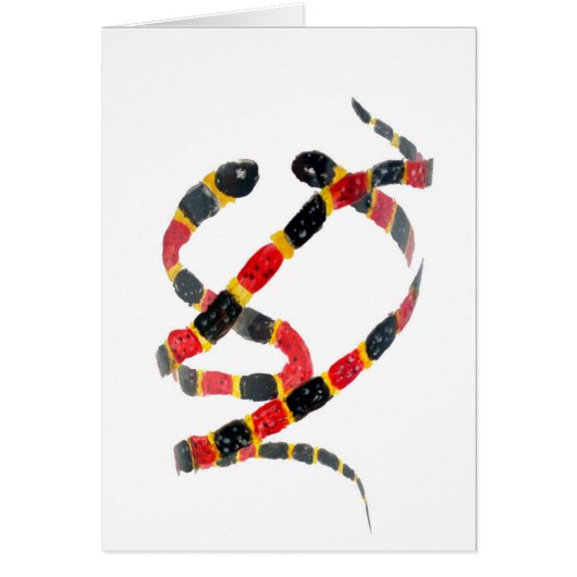 Peinture de reptiles Serpents de corail (Devant)
