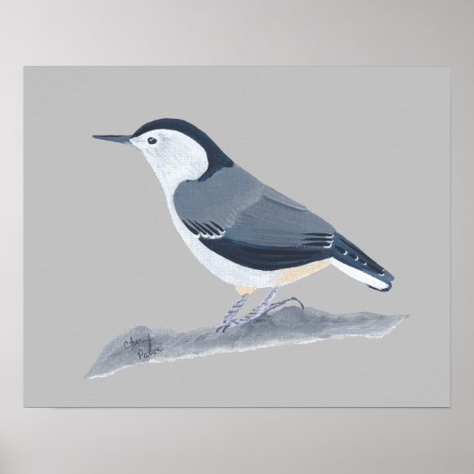 Peinture de sittelle sur des affiches murales (Devant)
