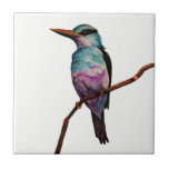 Peinture d'oiseau de couleur de sucrerie de coton<br><div class="desc">C'est une peinture d'aquarelle d'un oiseau dans des couleurs de sucrerie de coton. Elle est étée perché sur une branche.</div>