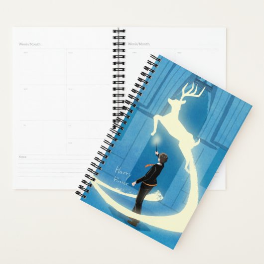 PEINTURE DU PATRONUS™ HARRY POTTER (Devant avec enveloppe)