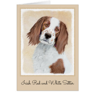 Peinture en Setter rouge et blanc irlandais - Art