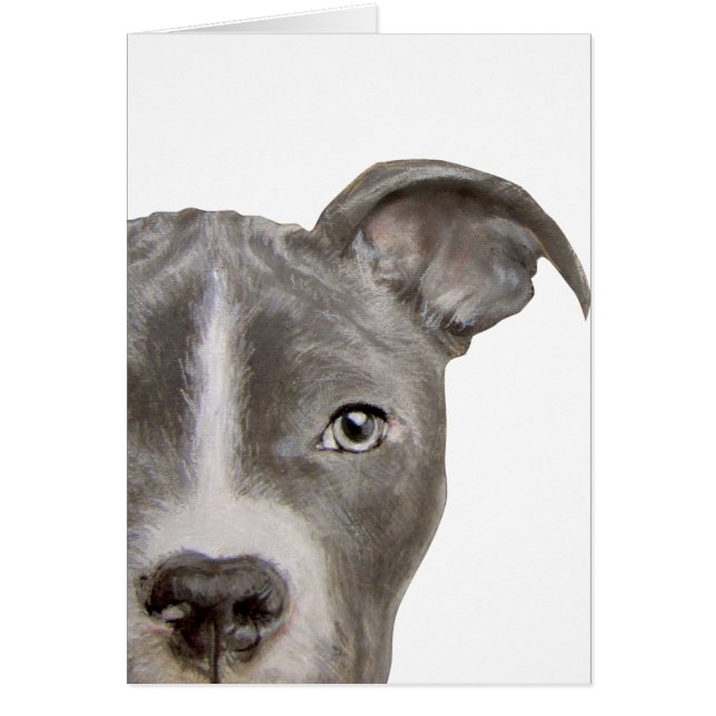Peinture et conception originales de pitbull par (Devant)