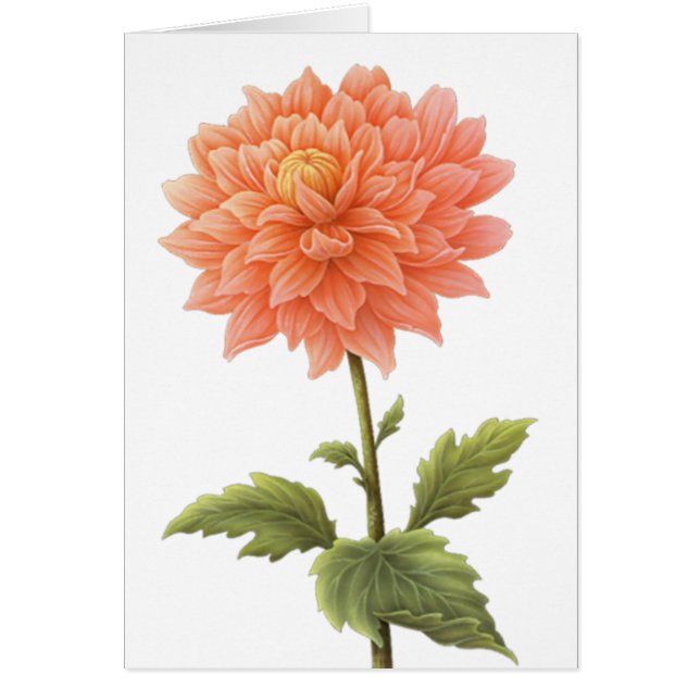 Peinture florale à fleurs Orange Dahlia (Devant)