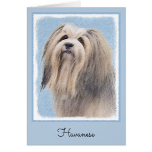 Peinture Havanaise (Argent) - Cute Original Chien