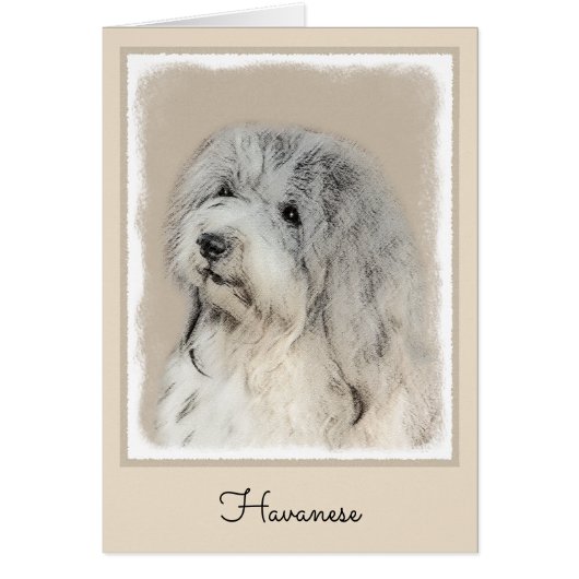 Peinture Havanaise (Gold Sable) - Art Chien origin (Devant)