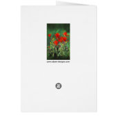 Peinture indienne de pinceau - Art Fleur original (Dos)