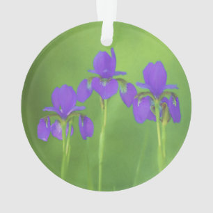 Peinture Iris Violet - Art Floral Original