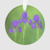 Peinture Iris Violet - Art Floral Original (devant)