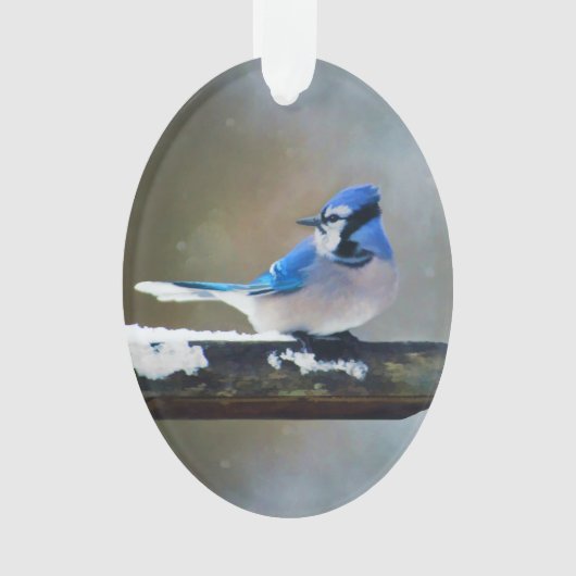 Peinture Jay Bleu - Art Oiseau Original (devant)