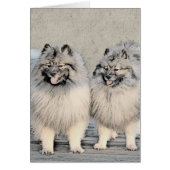 Peinture Keeshond Brothers - Art Chien original (Devant)