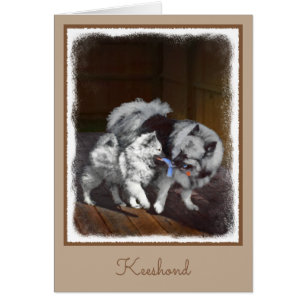 Peinture Keeshond Playtime - Jolie art original ch