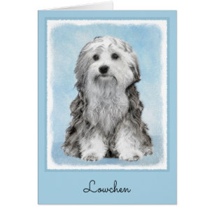 Peinture Lowchen - Cute Original Chien Art