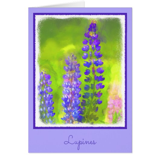 Peinture Lupine - Art Fleur Original (Devant)