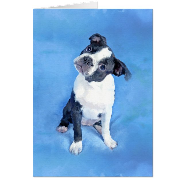 Peinture mignonne de chiot de Boston Terrier (Devant)