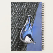 Peinture Nuthatch à poitrine blanche Art original (Dos)