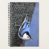 Peinture Nuthatch à poitrine blanche Art original (Devant)