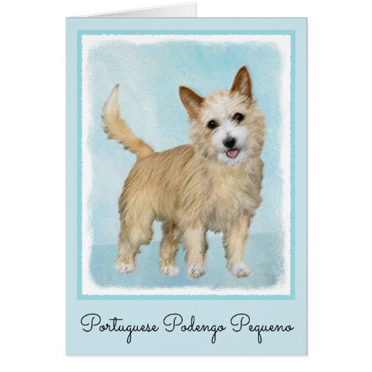 Peinture Podengo Pequeno portugaise - Art original (Devant)