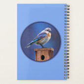 Peinture pour oiseaux bleus (femelle) - Art origin (Dos)