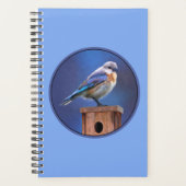 Peinture pour oiseaux bleus (femelle) - Art origin (Devant)