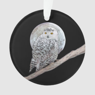 Peinture sur la Chouette neigeuse et la Lune - Art