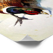 Peinture vintage / Poster de faisan à anneaux (Coin)