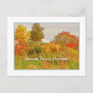 PEINTURES NATURE CARTE POSTALE DE COULEUR MICHIGAN