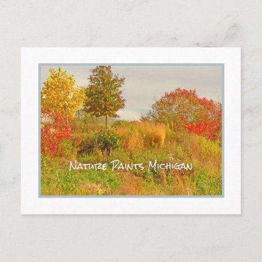 PEINTURES NATURE CARTE POSTALE DE COULEUR MICHIGAN (Devant)